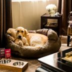 Проживание с животными, Гостевой дом Сердце Кубани