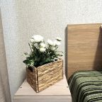 Квартира (Квартира рядом с Боьровым логом), Апартаменты Рядом с Бобровым логом