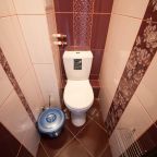 Допускается размещение домашних животных, Апартаменты Двухкомнатные на Батурина