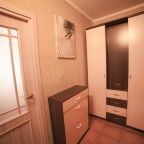 Допускается размещение домашних животных, Апартаменты Однокомнатные на улице Весны