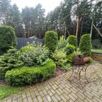 Апартаменты (Комфорт с балконом), Апартаменты ForRest