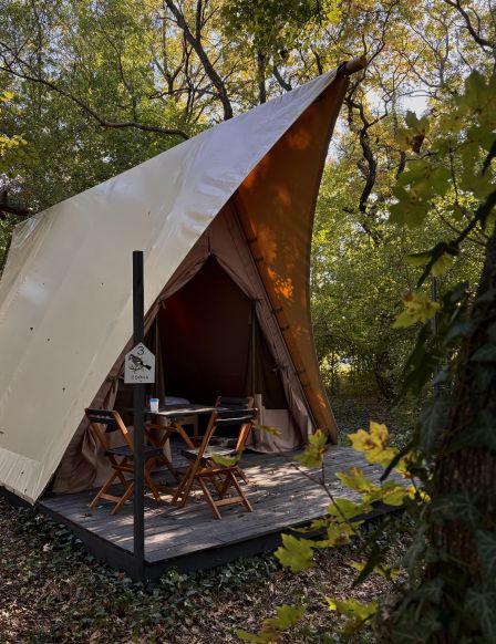 Кемпинг Птица в гнезде