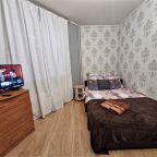 Трёхместный и более (МОС 124), Апартаменты На Московском проспекте 57