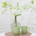 Апартаменты (Квартира на Большом проспекте Василевского Острова), Апартаменты На Большом проспекте Васильевского Острова