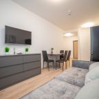 Апартаменты (Гагарина Серая), Апартаменты Гагарина 9 серые