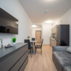 Апартаменты (Гагарина Серая), Апартаменты Гагарина 9 серые