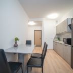 Апартаменты (Гагарина Серая), Апартаменты Гагарина 9 серые