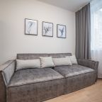 Апартаменты (Гагарина Серая), Апартаменты Гагарина 9 серые