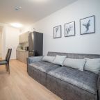 Апартаменты (Гагарина Серая), Апартаменты Гагарина 9 серые