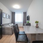 Апартаменты (Гагарина Серая), Апартаменты Гагарина 9 серые