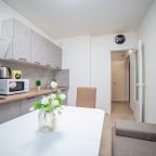 Апартаменты (Вилонова 14а), Апартаменты Вилонова 14а