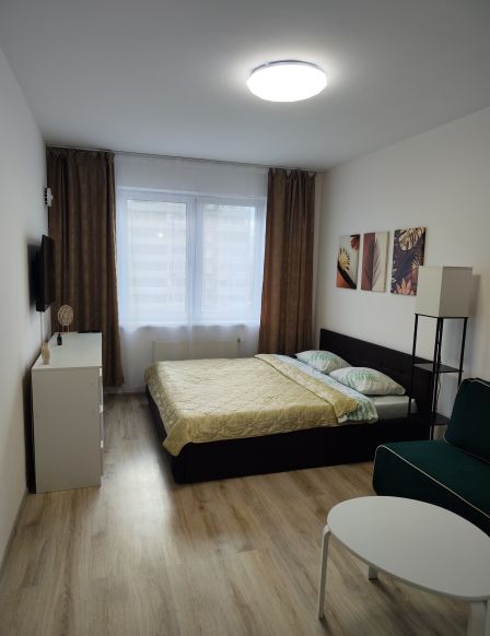 Апартаменты Цвилинга 8 однокомнатные