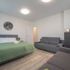 Апартаменты (Красных Командиров 1в), Апартаменты Красных командиров 1в