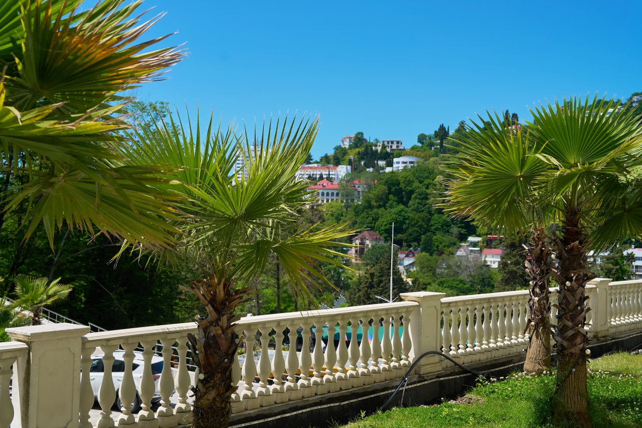 Апартаменты (Standart  City sea view 3 корпус 105), Апартаменты М2 group