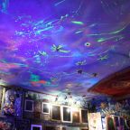 Двухместный (С пропеллером), Гостевой дом У художника