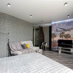 Квартира (Уютная однокомнатная квартира у Планеты), Апартаменты Современные однокомнатные у Планеты