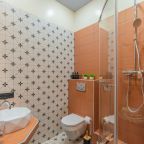 Квартира (Элитные двухкомнатные апартаменты SalutApart Premium Karpovka), Апартаменты SalutApart Premium Karpovka