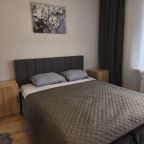 Квартира (Апартаменты 161), Апартаменты Новая Евродвушка с панорамным видом