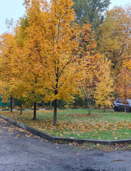 Отель Ботаник Life