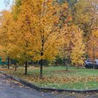 Автостоянка / Парковка, Отель Ботаник Life