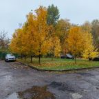 Автостоянка / Парковка, Отель Ботаник Life