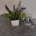 Апартаменты (Бунин), Апартаменты Новые на Московском проспекте