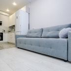 Квартира (Уютная квартира в историческом центре Перми), Апартаменты Современные в историческом центре Перми