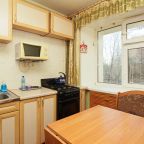 Квартира (Уютная квартира ближе к аэропорту), Апартаменты Менделеева 2