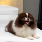 Необходимо согласование со стороны отеля, Апарт-отель СТАТУС