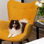 Необходимо согласование со стороны отеля, Апарт-отель СТАТУС