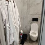 Люкс (Апартаменты "Люкс" с камином), Апарт-отель Самарская Ривьера