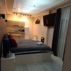 Люкс (Апартаменты "Люкс" с камином), Апарт-отель Самарская Ривьера