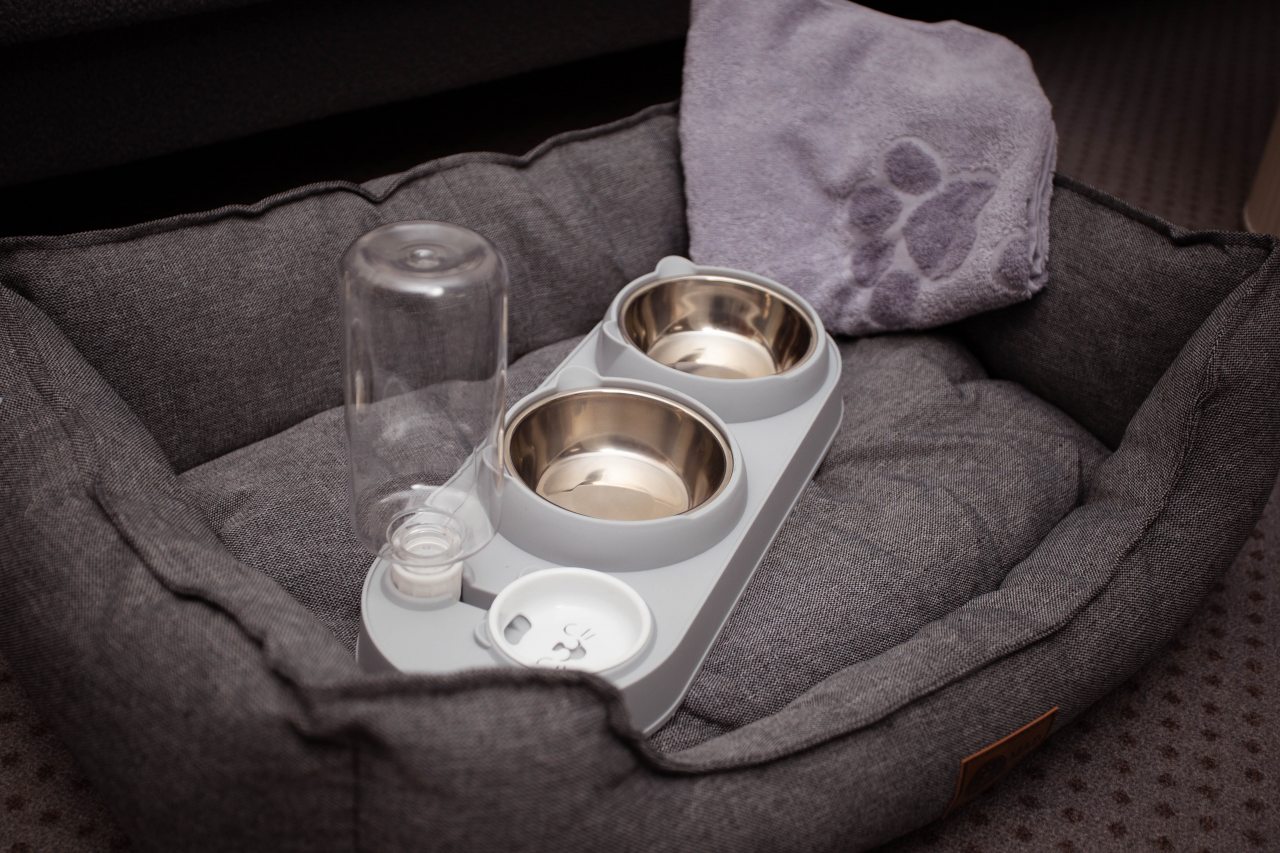 Семейный (Двухкомнатный джуниор сьют), Отель Альфатор