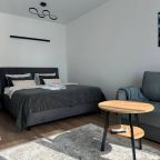 Апартаменты (Студио Делюкс), Апартаменты Apart-Real Открытый Парк