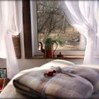 Вилла, Коттедж Музей Hемo