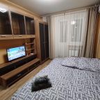 Апартаменты (Квартира на улице Радужная, 13), Апартаменты в Спутнике