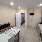 Апартаменты (Квaртиpa в Cпутнике), Апартаменты Просторная однушка в Спутнике