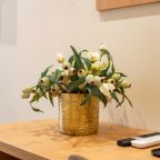 Двухместный (Стандартный), Отель Paradise