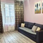 Трёхместный и более (На Ветчинова 3), Апартаменты Двухкомнатные просторные в Новом Пушкино