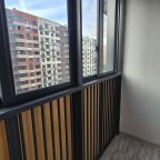 Трёхместный и более (На Ветчинова 3), Апартаменты Двухкомнатные просторные в Новом Пушкино