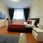 Апартаменты (Уютные на 11 этаже с видом на реку Обь), Апартаменты Уютные на 11 этаже с видом на реку