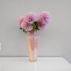 Апартаменты SpbMain