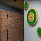 Квартира (Двухкомнатная), Ласпи апартамент 12/5