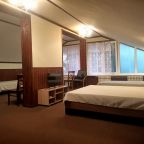 Люкс (Люкс 4х местный с одной двухспальной кроватью с видом на р.Ока), База отдыха Октава