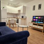 Апартаменты (Комфорт), Апартаменты Комфорт на 65 лет Победы