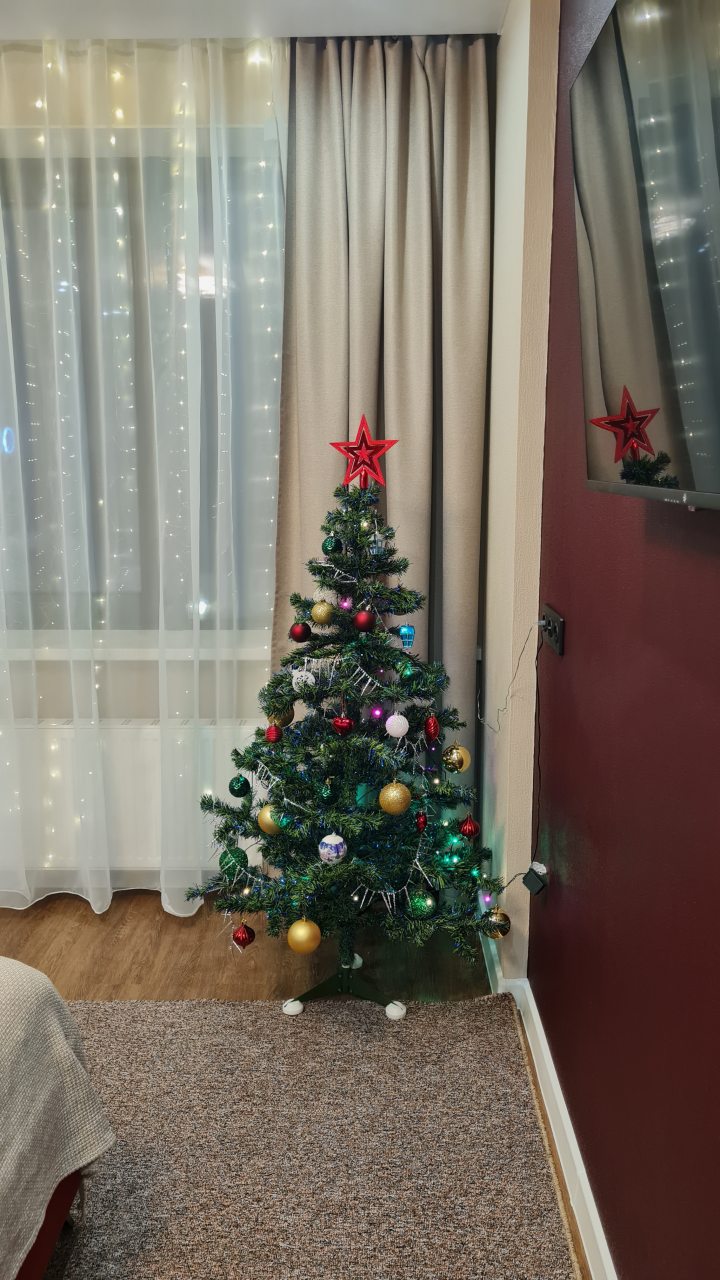 Студио (Гранат с двуспальной кроватью и допместом. Вид на парк), Апарт-отель Любимый Город-НН