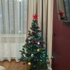 Студио (Гранат с двуспальной кроватью и допместом. Вид на парк), Апарт-отель Любимый Город-НН