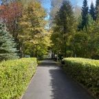 Объект находится в лесу, Санаторий Энергетик