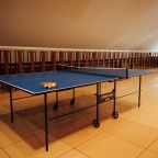 Настольный теннис, Санаторий Энергетик