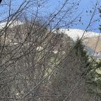 Полулюкс (Полулюкс с балконом), Гостевой дом Chalet Monte’